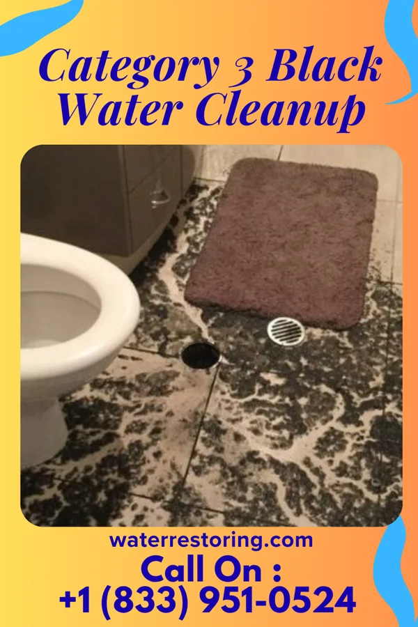 Category 3 Black Water Cleanup in Agar, SD